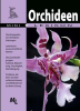 Orchideen_-_Mini-Lexikon